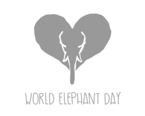 elephant logo